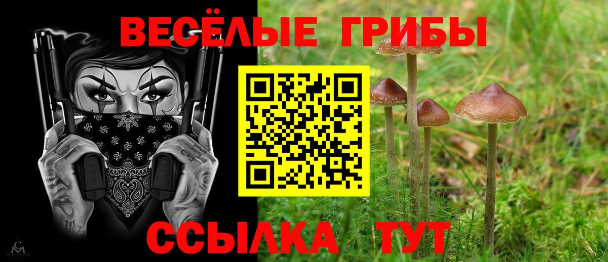 Алексеевка  Галлюциногенные грибы мицелий  купить наркотики цена  Вход с VPN 