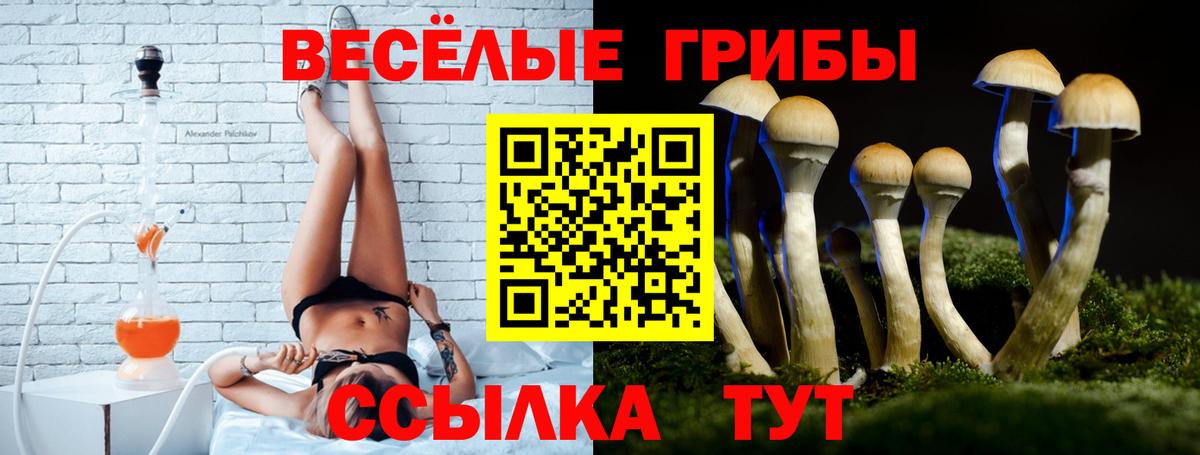 Галлюциногенные грибы Psilocybe Алексеевка